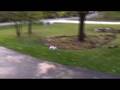 RC Car & Pete