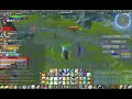 World of Warcraft UI mod example from Neibelas of Ysondre Alliance