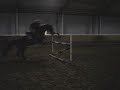 miss sundance springen,training