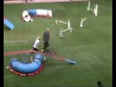 Agility World Championship 2008 - trailer Agility World Championship 2008 - trailer