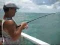 You want to go fishing? Goliath Grouper Tortuga4