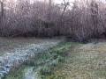 videos de Fontaine St Sulpice, Forêt de Lancosme (36)