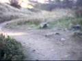 Apex Mountain Biking.wmv