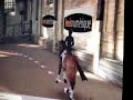 Horsez 7