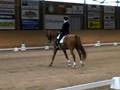 Ciwi Laholm St George
