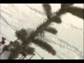 Chuck 2006 demo by MLP