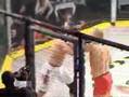 Cage Warriors Strike Force 3 Highlight Video