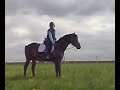 Dressage training 080430-2