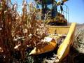 videos de high moisture corn silage FX58