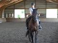 videos de Susan on Spirit