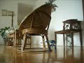Bionicle Battle Royale - Fight 1 - Stop Motion Film Bionicle Battle Royale - Fight 1 - Stop Motion Film