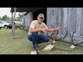 Great Hunting, Great Price!!! One of the Best places to bag a quality trophy Red deer in Australia. Steve Lee shows you where and how to acheive this hunting oppertunity.