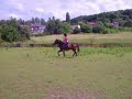 cyrano et moi au trot