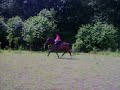 cyrano et moi au trot