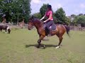 cyrano et moi au trot