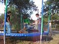 puercos voladores