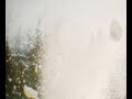 Spring Snow