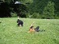 tzv ninja,Dzuka