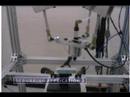 Automatic Control of Robotic Polishing/Deburring