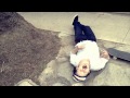 Doctor Dru The Voice Of Dru Official Music Video and Lyrics