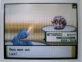 Pokemon Wi-Fi Battle 10 v Maxz