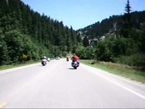 Sturgis 2007 Near Deer Hit! Who is ...
