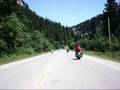 Sturgis 2007 Near Deer Hit! Who is the biker?