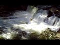 Kayakers on the Tellico River - Baby Falls