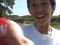 two dumb kids get lost in there own nieghbourhood forest two dumb kids get lost in there own nieghbourhood forest