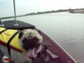 videos de Cruising the creek