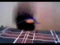 Ese teléfono parece carpintero....porque aserrín Ese teléfono parece carpintero....porque aserrín