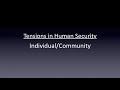Human Security in Crisis? Global Insecurity after the Financial Crisis and Fukushima 科学国際安全保障研究所