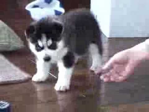 See video