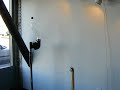 ballooning spider, flexo flight