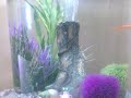 My BIUBE