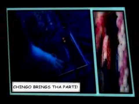 Chingo Bling Videos