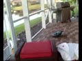 How casey met sandra