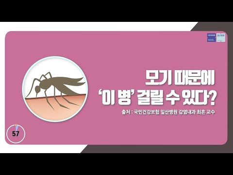 [국민건강보험 일산병원 60초 건강툰]모기 때문에 `이 병` 걸릴 수 있다?
