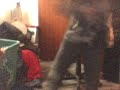 Video 10 Video 10