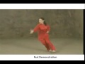 tai chi pa kua chang fast speed demo
