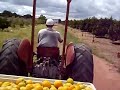 Jipy on the tractor Jipy on the tractor