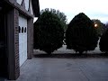 Wallflip Showoff