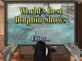Cool! 150+ Dolphin Jumps In Two-and-a-half Minutes
