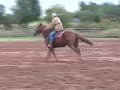 10/15/08  \"Shes Ols Money\"  Loping barrels