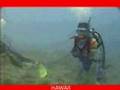 Scuba diving in Hawaii  ハワイでスキューバダイビング　