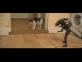 Tiggy the talking hello Cat talks to an Alien from Aliens