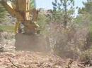 The Tahoe Donner Forestry program