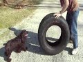 Kids w/ Tires 2 Kids w/ Tires 2