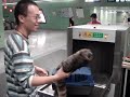 fun with subway security