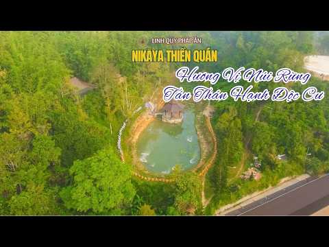 NIKAYA Thiền Quán - Hương Vị Núi Rừng - Tán Thán Hạnh Độc Cư **